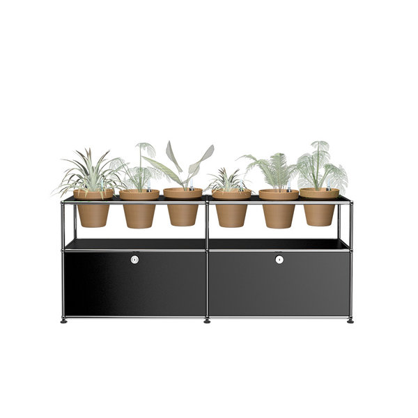 USM - Haller Sideboard Pflanzenwelt